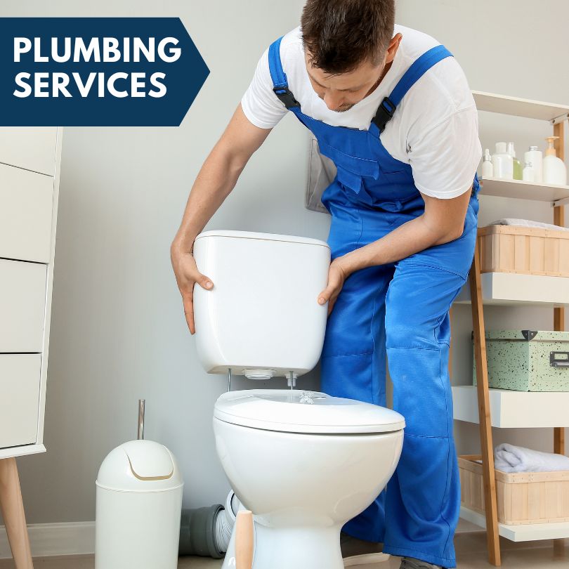 Plumbing Company in Linden, IA